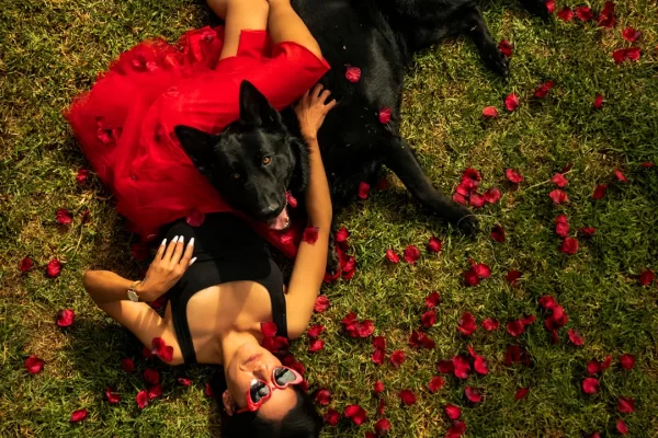 Sesión fotográfica mascotas Sesión fotográfica mascotas